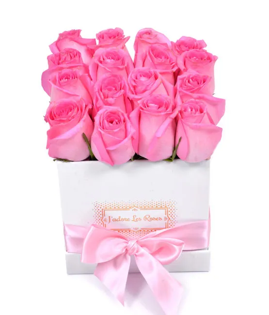 pink roses in white square box