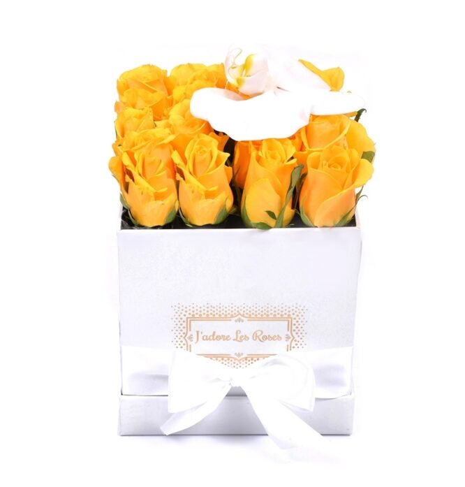 yellow roses in white square box