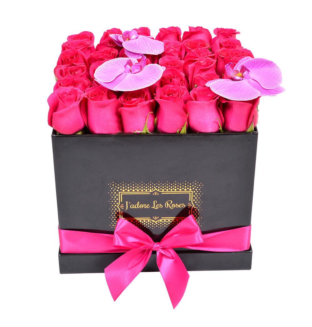 fuchsia roses in black medium square box