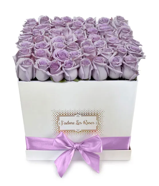 purple roses in white medium box