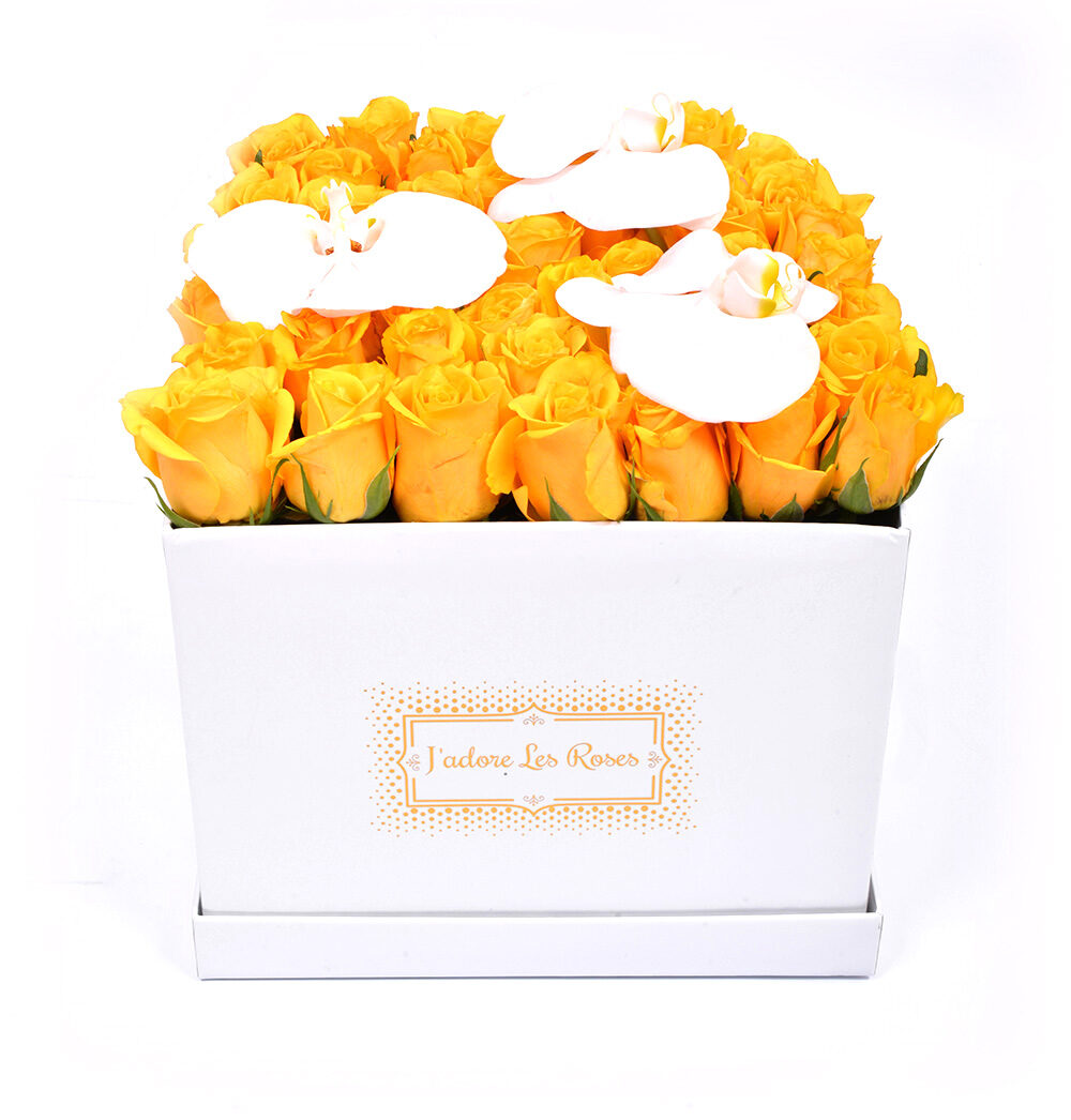 yellow roses with orchid in white medium box