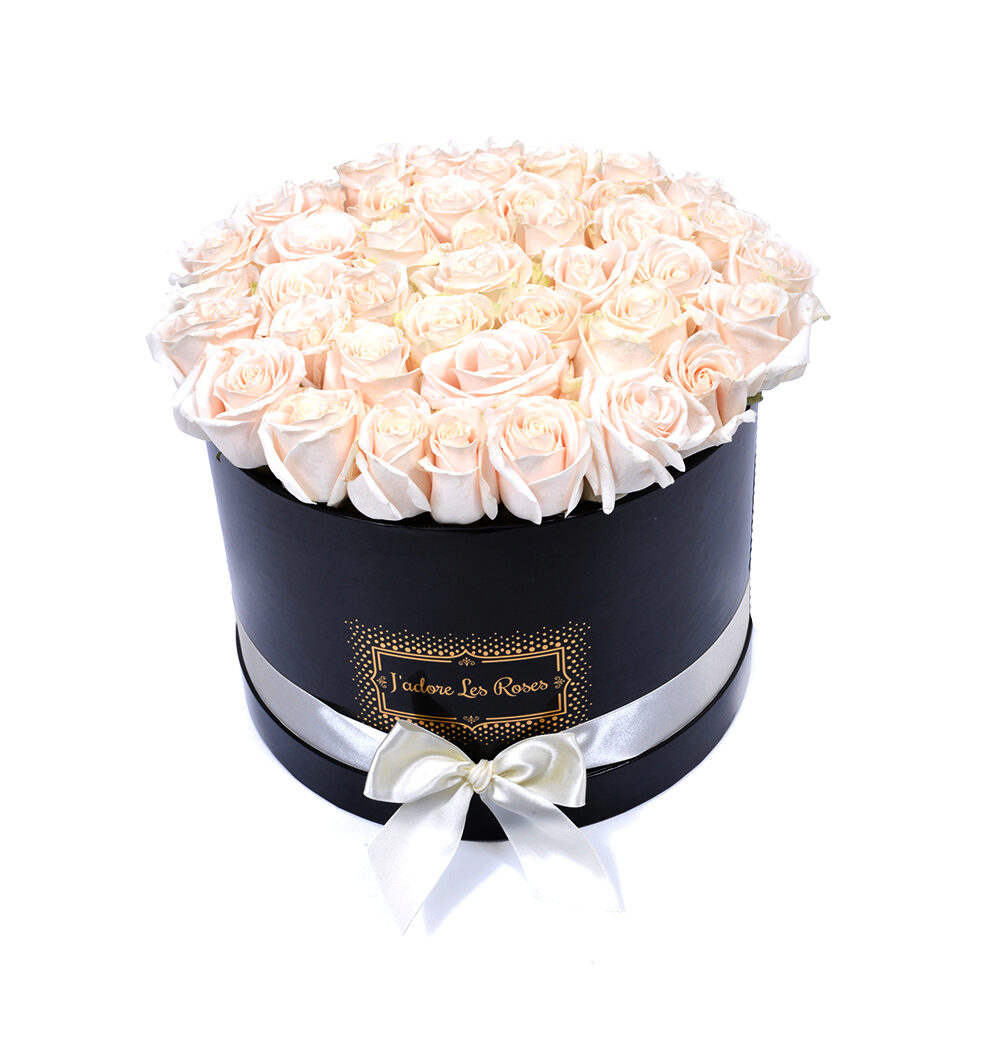 cream roses in black round box
