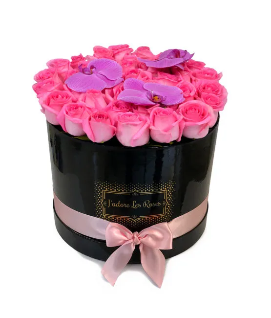 pink roses in black round box