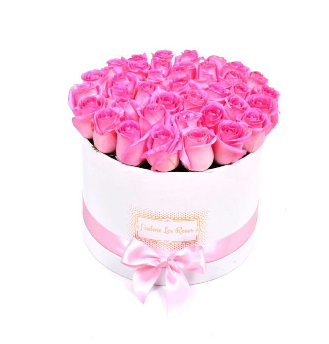 pink roses in white round box