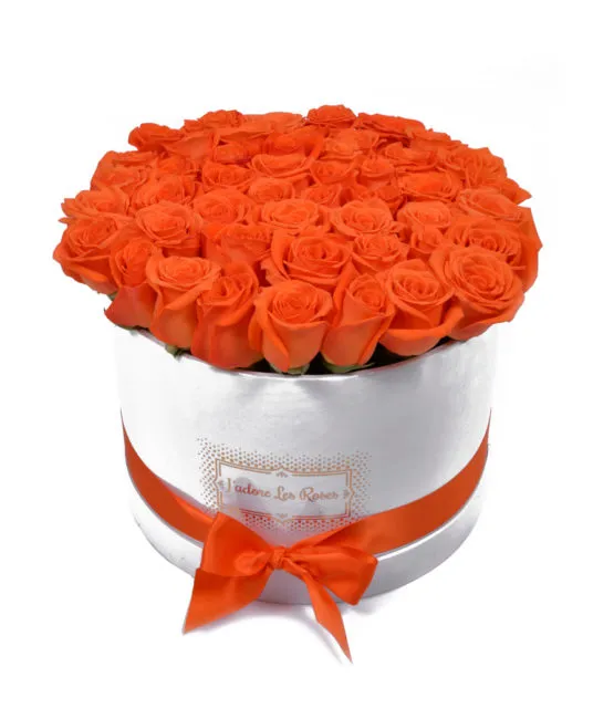 orange roses in white round box