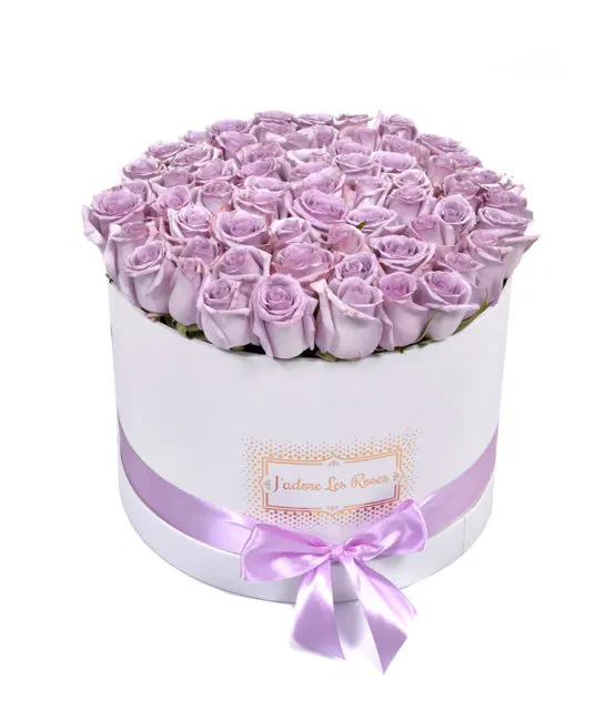 purple roses in white round box