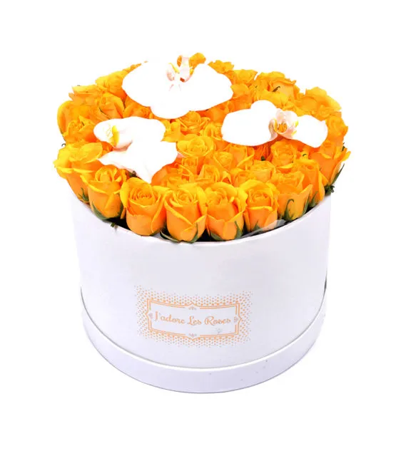 yellow roses with orchid in round box