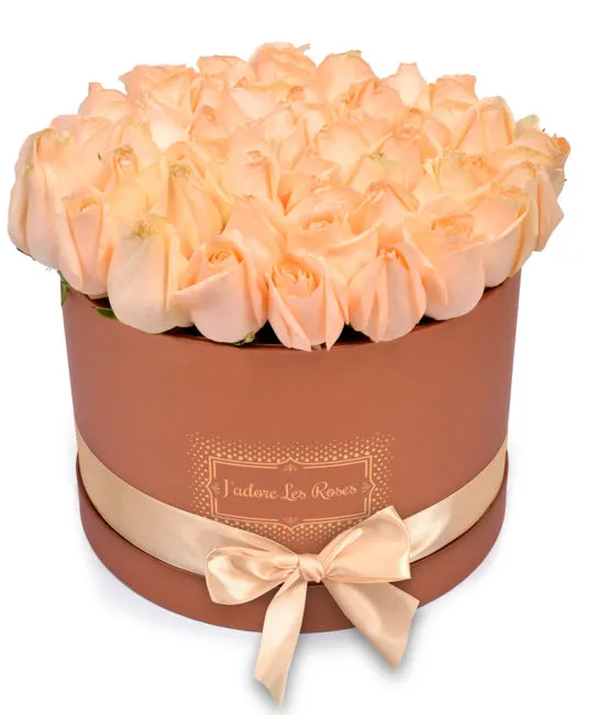 peach roses in bronze round box