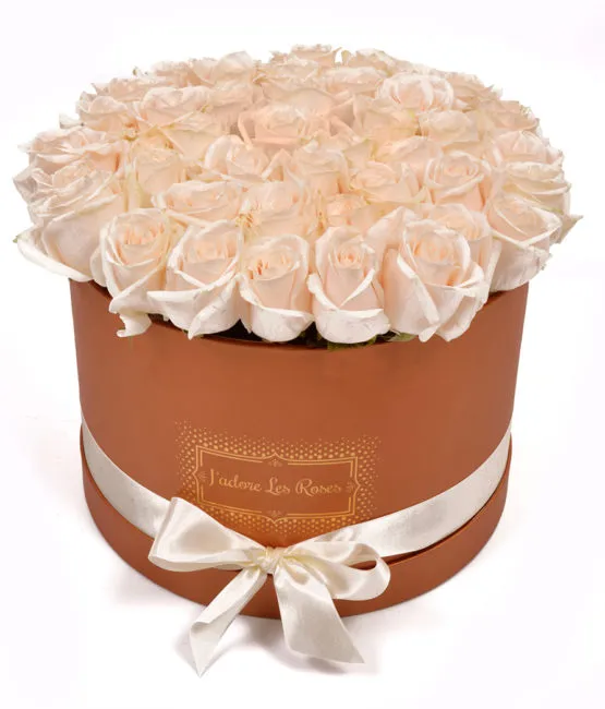 cream roses in bronze round box