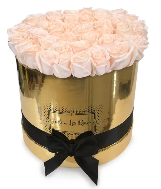 Cream roses in gold round box