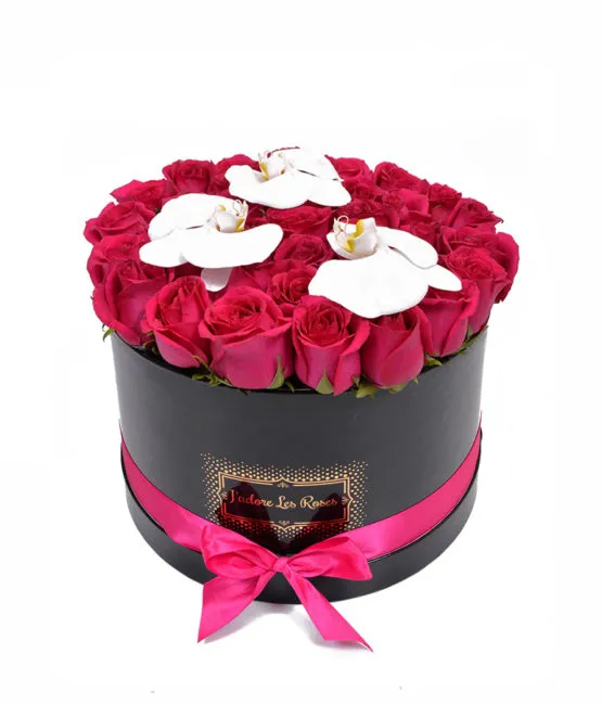fuchsia roses in black round box